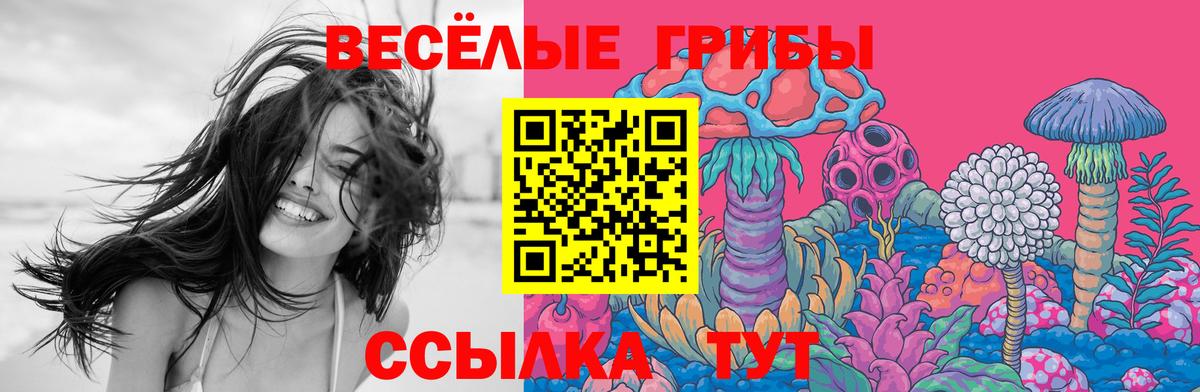 Псилоцибиновые грибы ЛСД Котельники