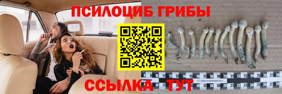 Галлюциногенные грибы Magic Shrooms  Вход с VPN  Котельники  Псилоцибиновые грибы Cubensis 